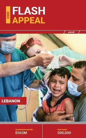 Lebanon UN Flash Appeal