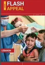 Lebanon UN Flash Appeal