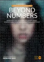 Beyond Numbers: Improving the Gathering of Gender-Based Violence Data to Inform Humanitarian Responses